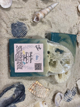 Load image into Gallery viewer, Eucalyptus & Cotton Luffa Triple Butter Body Bar